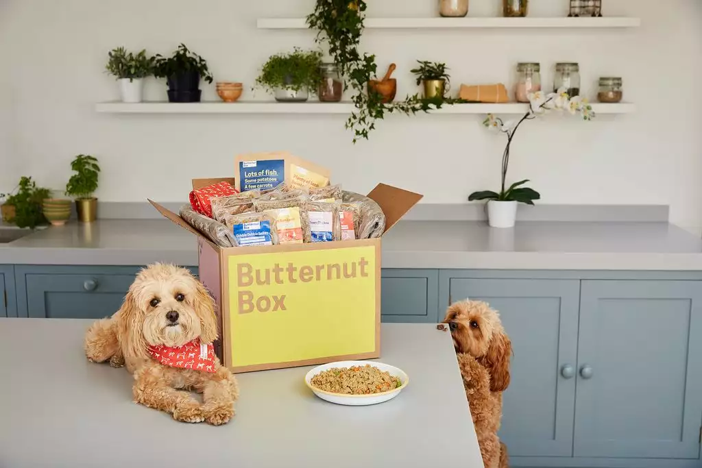 Butternut box